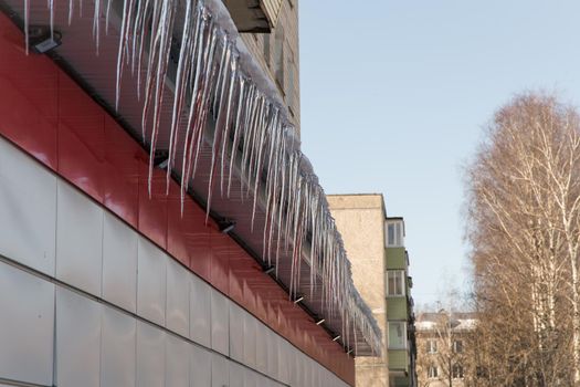 Long icicles hang from the roof of a store in the city. Residential building and tall trees against the blue sky. Abnormal weather concept. New Year's and Christmas is over.