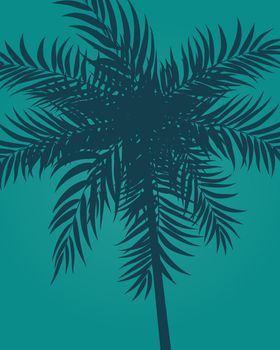 Beautifil Palm Tree Leaf Silhouette Background Vector Illustration EPS10