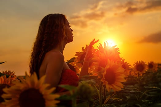 Young woman touches with her fingers a blooming sunflower in a field at sunset. Beauty in nature in the evening in a blooming field