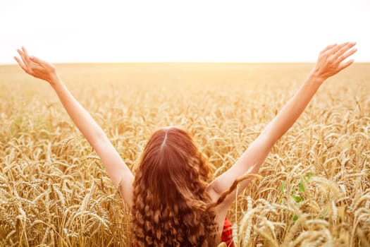 Female hands stick out from the wheat field. Happy young woman is free in a ripe golden wheat field. Nature walks