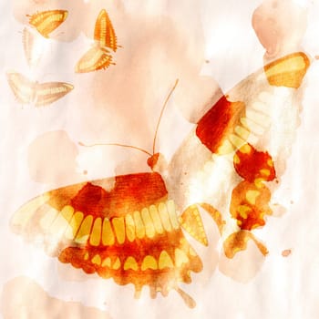 Butterfly on Orange Watercolor Background. Digital Paper with Hand Drawn Butterfly, Moth, Insect.