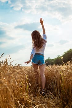 Female hands stick out from the wheat field. Happy young woman is free in a ripe golden wheat field. Nature walks