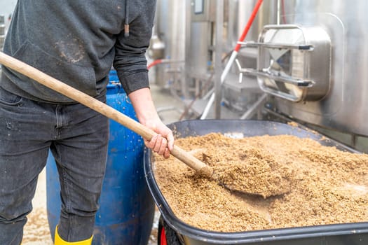 disposal of residual malt after brewing beer in the brewery.