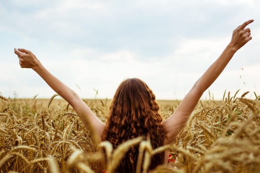 Female hands stick out from the wheat field. Happy young woman is free in a ripe golden wheat field. Nature walks