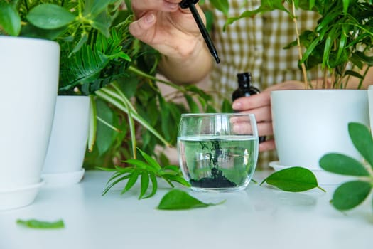 A woman drinks liquid chlorophyll. Selective focus. Nature.