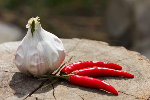 a head of garlic and red hot pepper on a cracked wooden stump background close-up on a sunny summer day