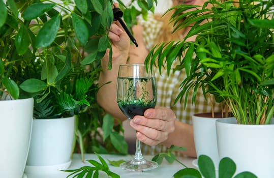 A woman drinks liquid chlorophyll. Selective focus. Nature.