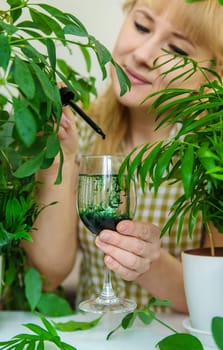 A woman drinks liquid chlorophyll. Selective focus. Nature.