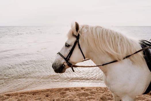 Happy woman and a white horse against the background of the sky and the sea