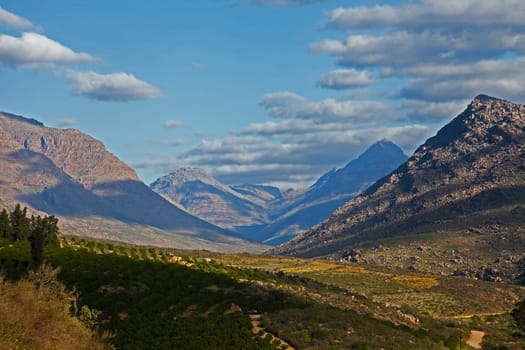 A View over the Grootkloof Valley in the Cederberg Wilderness Area, Western Cape. South Africa