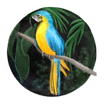 Hand drawn watercolor illustration of macaw long-tailed colorful parrot. Tropical jungle bird nature in circle round shape, palm leaves on dark background. Wildlife realistic artwork, exotic zoo animal rio ara species