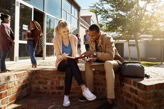 Working towards a bright future. two students studying together on campus