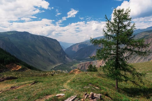 Valley of the river of Chulyshman. Altai mountains, Russia, beautiful summer day