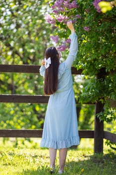 romantic beautiful girl with long hair with white bow, in light blue dress, stands in the garden, nearby blooming lilac bush , in sunny day. Back view. Close up. Vertical. copy space