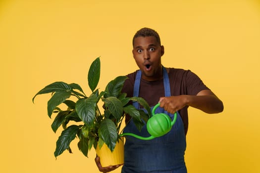 Happy African man using watering can to splash water on home flower with copy space on yellow background. Concept for nature, plant care, and gardening. High quality photo