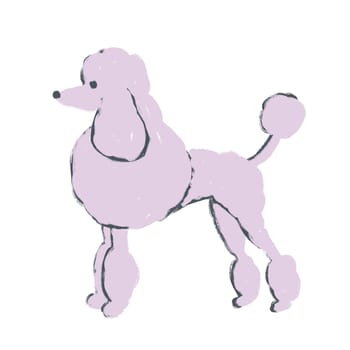 Hand drawn illustration with poodle dogs on white background. Pink mauve lilac animal pet in funny cartoon sketch style, cute fluffy puppy dogshow grooming salon print, for textile dog bandana