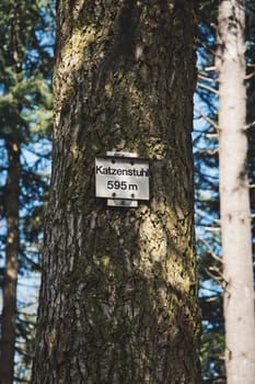 Vertical shot of a tree trunk with a grown-in signboard in Blackwood forest near Staufen, Breisgau, Germany,