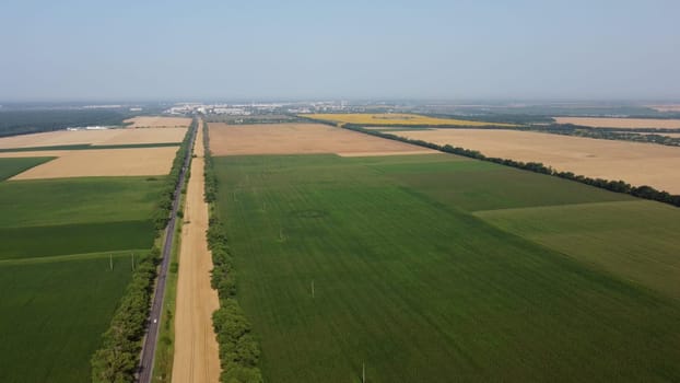 Beautiful panoramic view of many agricultural fields with different agricultural green plants and ripe yellow wheat, road with moving cars and city on summer day. Aerial drone. Agrarian crop landscape