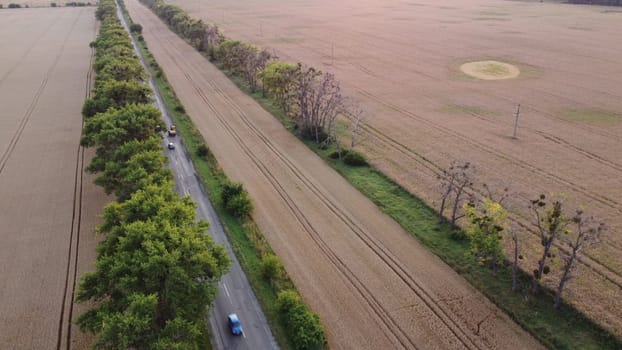 Highway road, driving cars and trees between the areas sown and ripened mature wheat. Agricultural farming agrarian landscape. Harvest crop scenery. Travel transport. Aerial drone view. Top view.