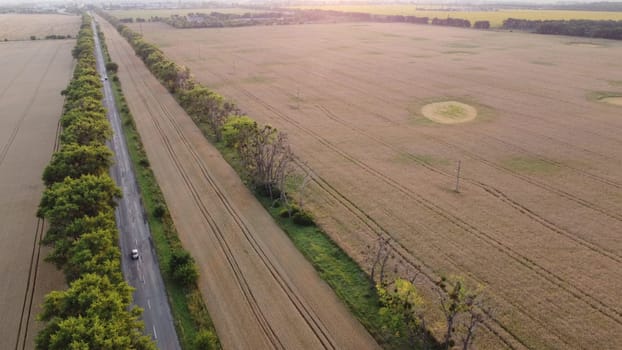 Beautiful panoramic landscape agricultural fields of ripe wheat,road with moving cars, industrial plants, forest, city on summer evening. Agricultural agrarian scenery. Aerial drone view. Top view.