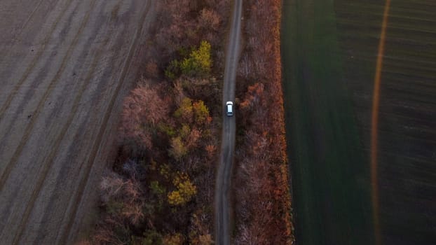 White car driving dirt road between agricultural fields countryside autumn evening. Top view, aerial drone view. Transport transportation shipping. Travel tourism traveler trips tourist travelling