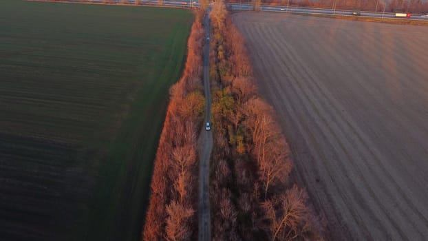 White car driving dirt road between agricultural fields countryside on autumn evening at sunset dawn. Top view, aerial drone view. Transport transportation shipping. Travel tourism traveler trips