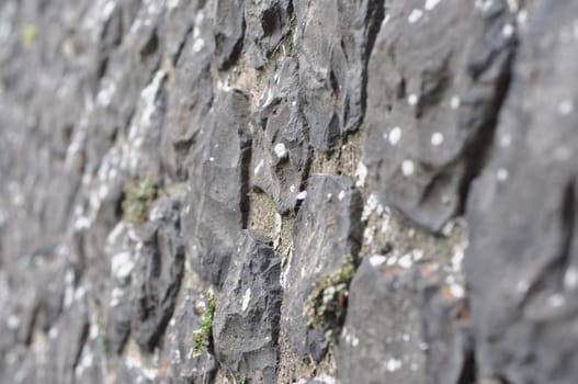 Closeup shot of a stone quay wall texture with grass pieces growing from between the stones