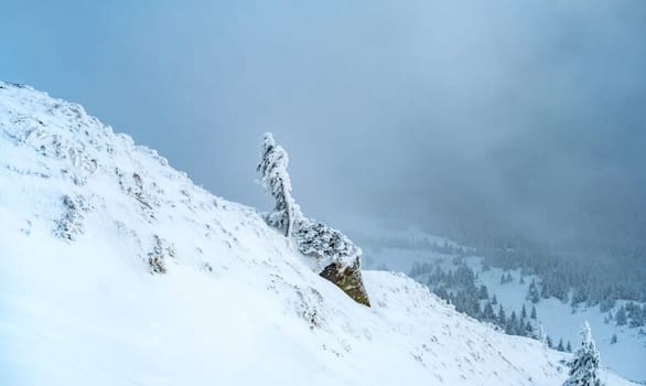 Mountain landscape with snowfall and clouds and lonely frozen sign, view from top