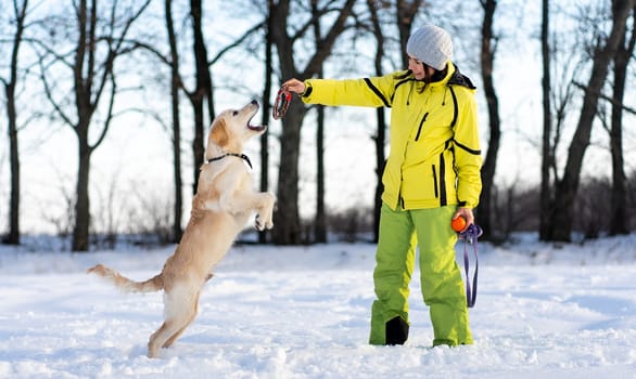 Active young retriever dog playing with happy woman outside in winter