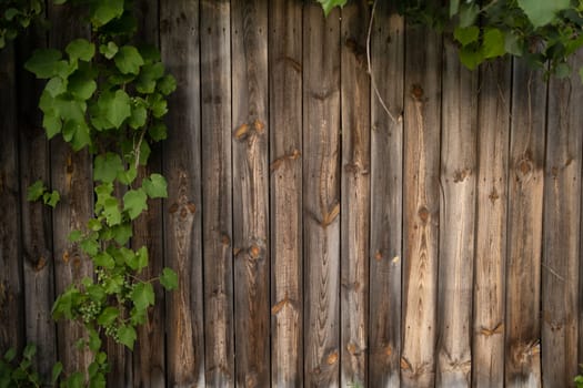 Wood texture natural background with grape leaves and berries. Dark brown scratched wooden cutting boards with green plant