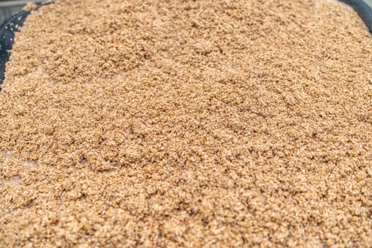 malt for brewing beer in a brewery. High quality photo