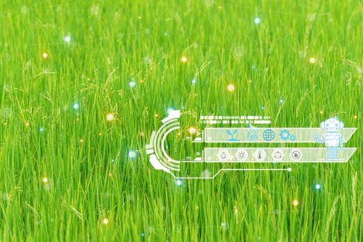 Smart farm digital icon and futuristic AI data infographic of Landscape nature of rice field on rice paddy green color lush growing is a agriculture in asia