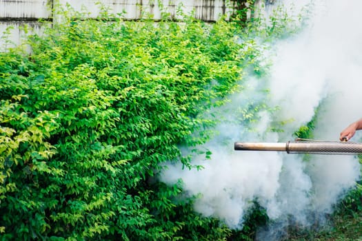 People fogging DDT spray for mosquito kill and protect by control mosquito is a carrier of Malaria, Encephalitis, Dengue and Zika virus in village.