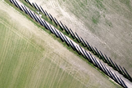 Aerial photographic documentation of a cypress road in the province of Siena Tuscany Italy 