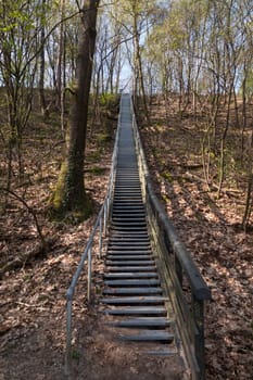 very high metal stairs in the nature reserve near Doorn in the Netherlands between the woods