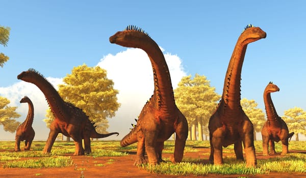 A herd of Titanosaurs called Alamosaurus dinosaurs forage among forest trees.