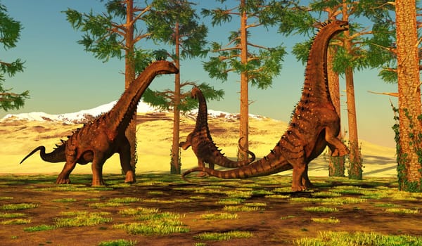 A group of Titanosaurs called Alamosaurus forage among a forest of Pine trees.