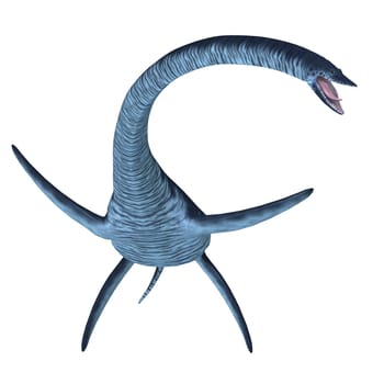 Elasmosaurus was a marine plesiosaur reptile that lived in North America seas in the Cretaceous Period.