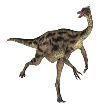 Gallimimus was a omnivorous theropod dinosaur that lived in Mongolia during the Cretaceous Period.