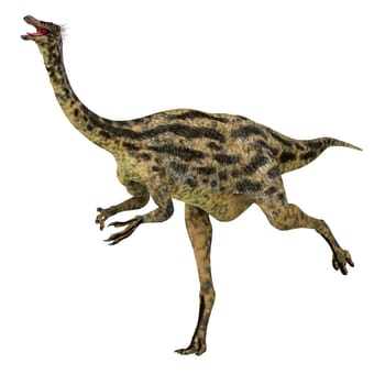 Gallimimus was a omnivorous theropod dinosaur that lived in Mongolia during the Cretaceous Period.