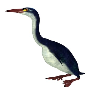 Hesperornis is a genus of flightless aquatic birds that lived in the Cretaceous Period.