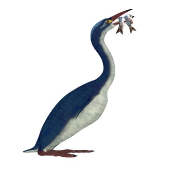 Hesperornis is a genus of flightless aquatic birds that lived in the Cretaceous Period.