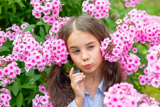 little girl, stands in lush pink phlox flowers, summer in the garden. Close-up