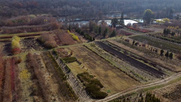 Plant nursery in autumn. Top view. Flying over plants of different varieties in beds in plant nursery on sunny autumn day. Growing and cultivating different plants and trees. Aerial drone view