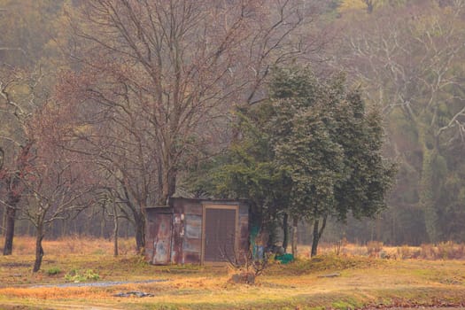 Rusted Old Farming Shed by Golden Field and Bare Winter Trees. High quality photo