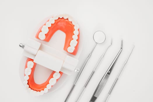 Dentist tool care set and tooth model on white background