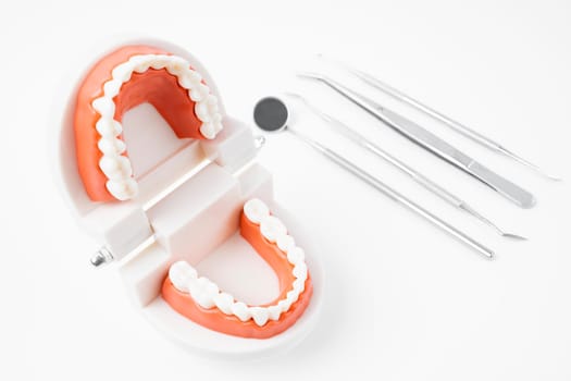 Dentist tool care set and tooth model on white background