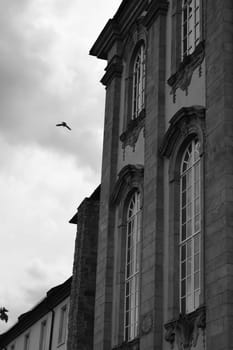 Vertical shot of a bird flying against a historic building in grayscale in Goslar, Germany