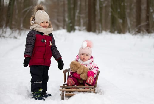 Children ride on a vintage wooden sled against the backdrop of a winter forest. Brother and little sister on a winter walk.