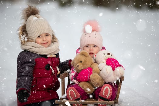 Children ride on a vintage wooden sled against the backdrop of a winter forest. Brother and little sister on a winter walk.